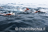 Nuota Forio, mezzo fondo di nuoto dell'Isola d'Ischia 12