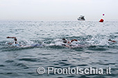 Nuota Forio, mezzo fondo di nuoto dell'Isola d'Ischia 29