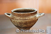 Visita guidata al Museo di Villa Arbusto 16