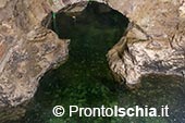 Terme Belliazzi: Un Viaggio tra Storia, Natura e Benessere nel Cuore di Ischia 6