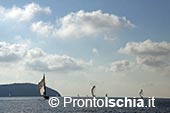 ScheriaCup: vela e spettacolo intorno a Ischia 1